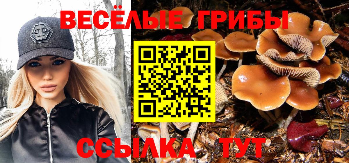 Чусовой  Галлюциногенные грибы мухоморы  Вход с VPN 